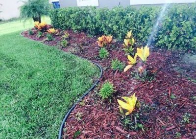 Gardening