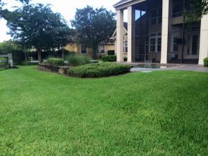 Landscaping