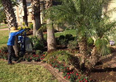 Landscaping