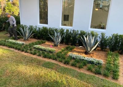 Dependable Landscape Service Contractor in Ocoee, FL