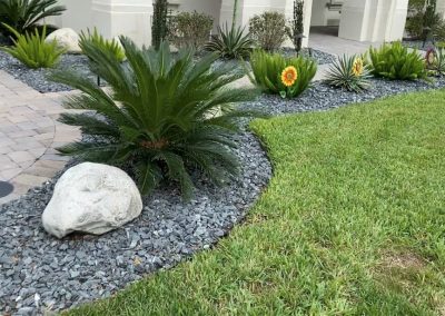 Local Landscape Service Contractor in Ocoee, FL