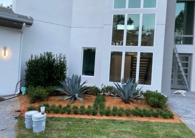 Quality Landscape Service Contractor in Ocoee, FL