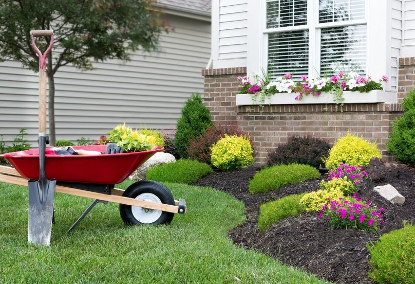 Landscape Contractor in Ocoee, FL